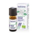 Menthe poivrée (Mentha x piperita)